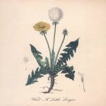Snoh Aalegra – Wait A Little Longer (lyrics)