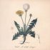 Snoh Aalegra – Wait A Little Longer (lyrics)