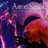 Aaron Neville - Warm Your Heart (lyrics)