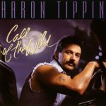 Aaron Tippin – I Promised You The World (lyrics)